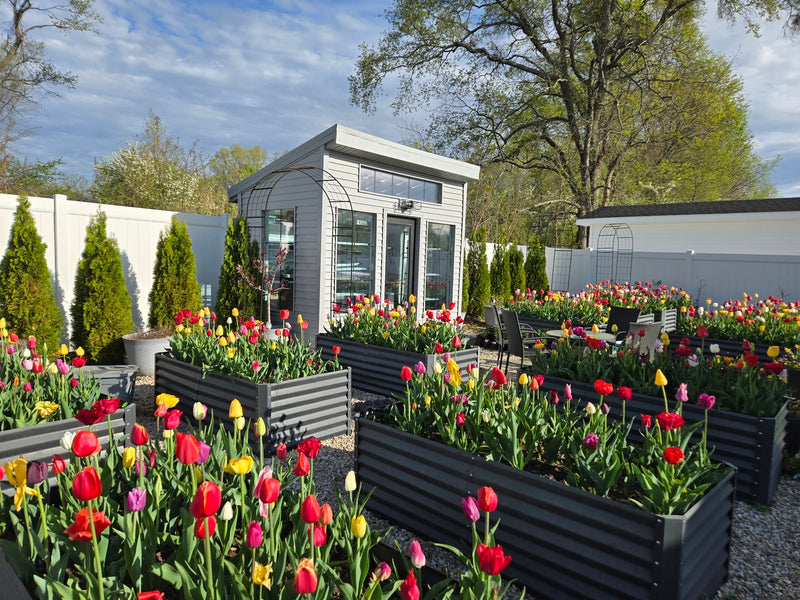 Welcome to Country Garden Oasis