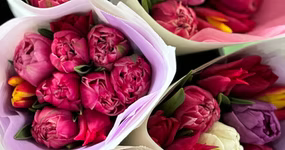 Spring Tulip & Ranunculus Share