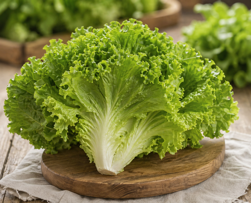 Gordini/ lettuce Seed