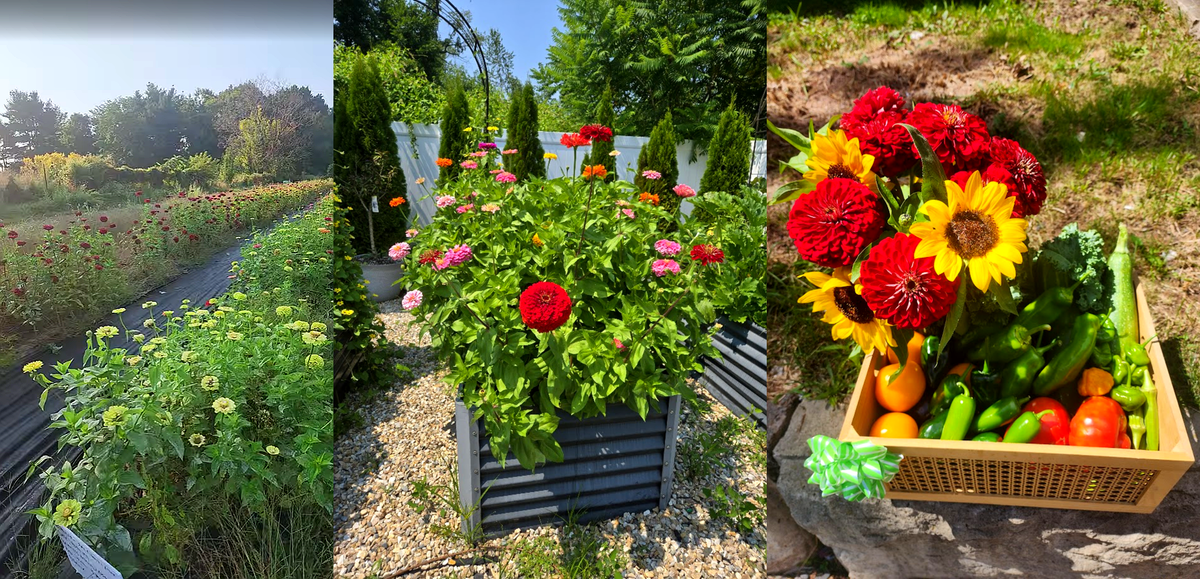 U-Pick Flower Experience at Country Garden Oasis